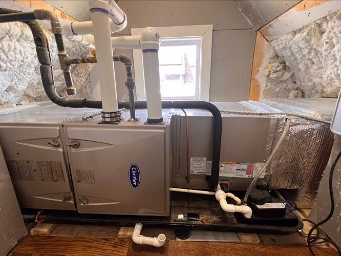 294393 boston comfort systems