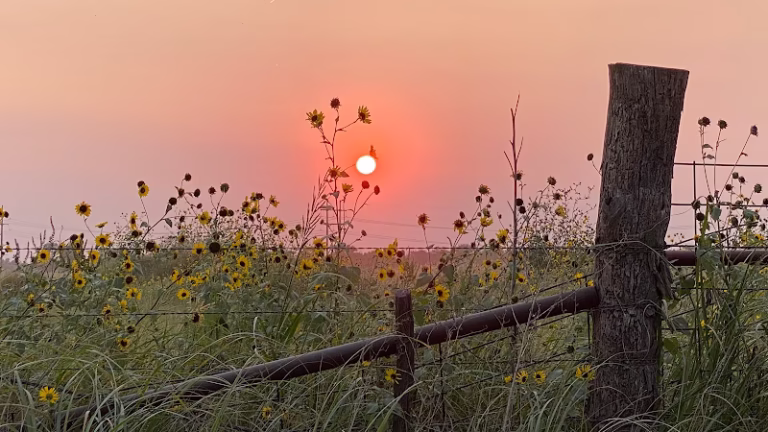 296829 tj heating air llc 768x432