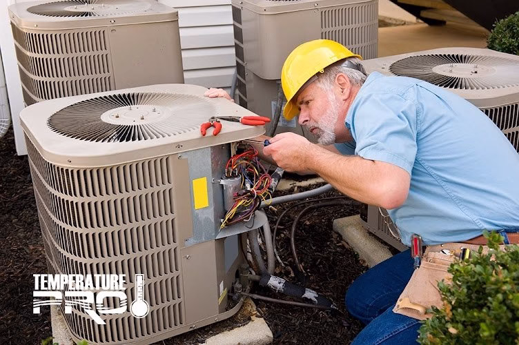 298337 temperaturepro orlando