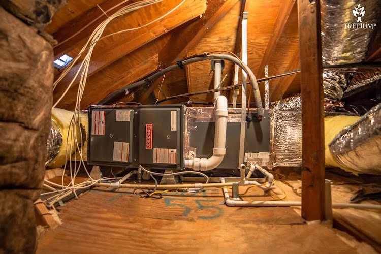 298494 treeium irvine