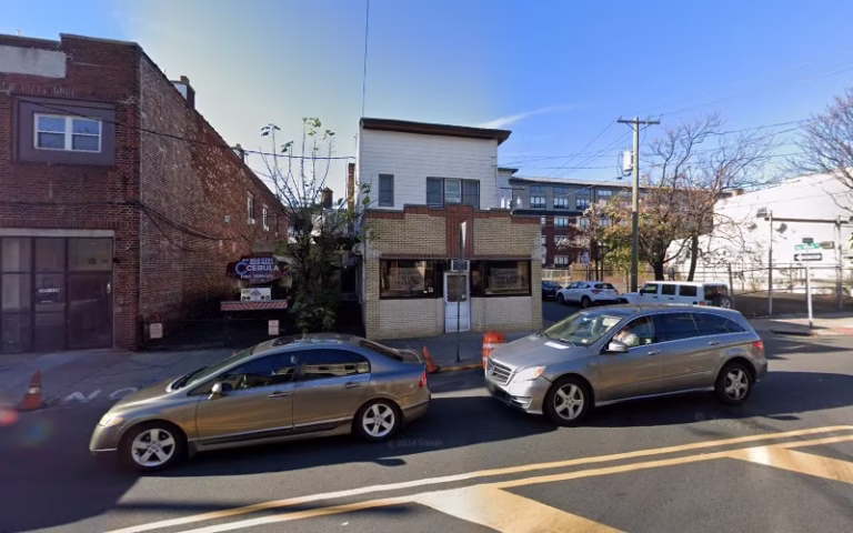 298540 cebula theodore v 768x480