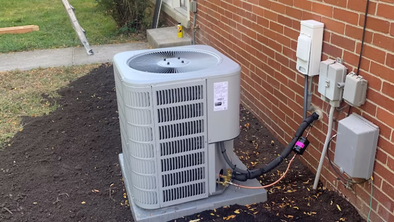 298557 family first llc 768x432