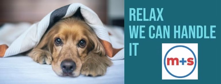 299485 ms heating and air conditioning 768x292