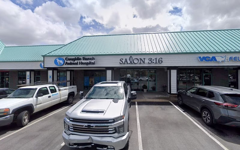 299492 nevada geothermal utility company