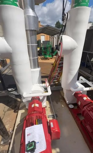 299670 daniel ecological advantage