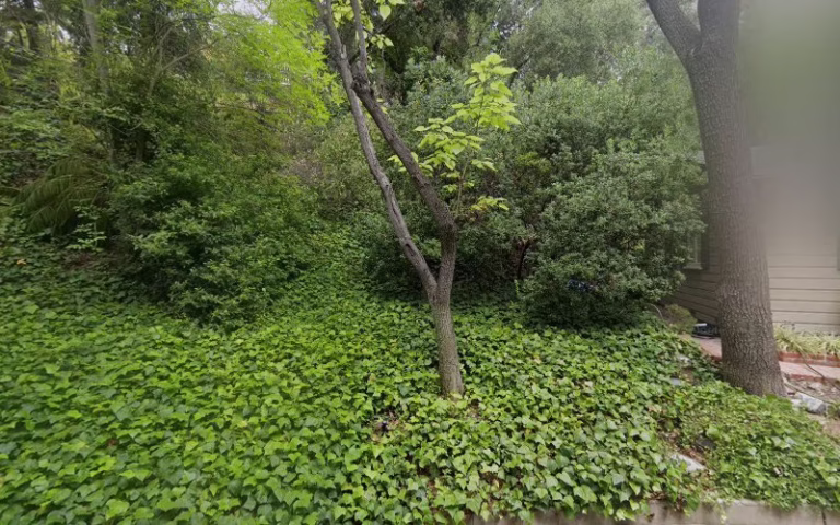 302469 heavens best tile and grout cleaning 768x480