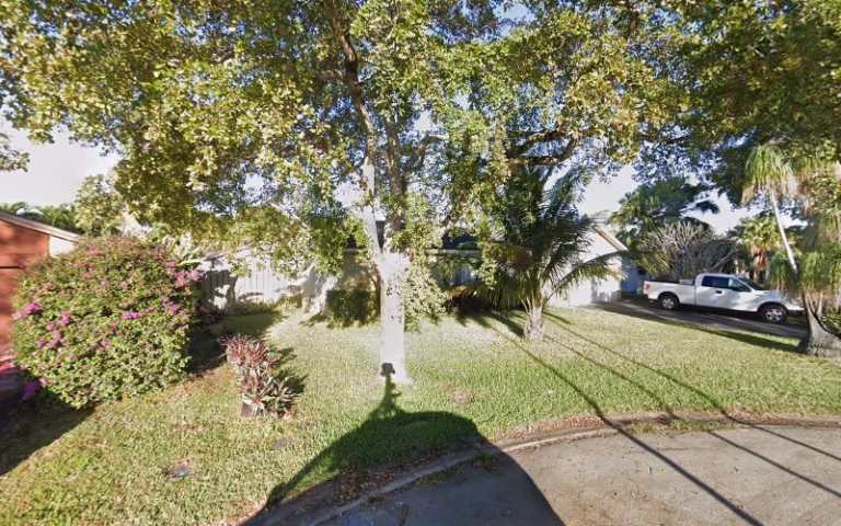 302781 painting by carlos 768x480