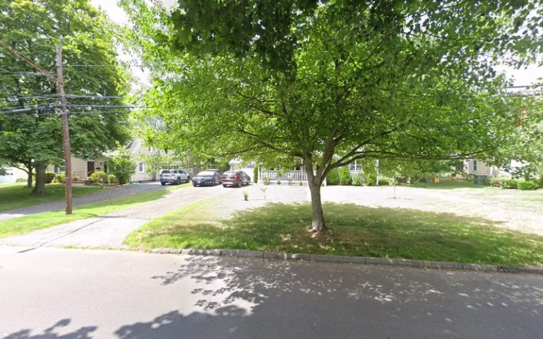 303068 parrotts painting 768x480