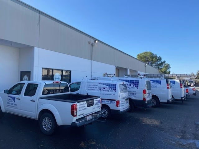 303101 whits painting inc