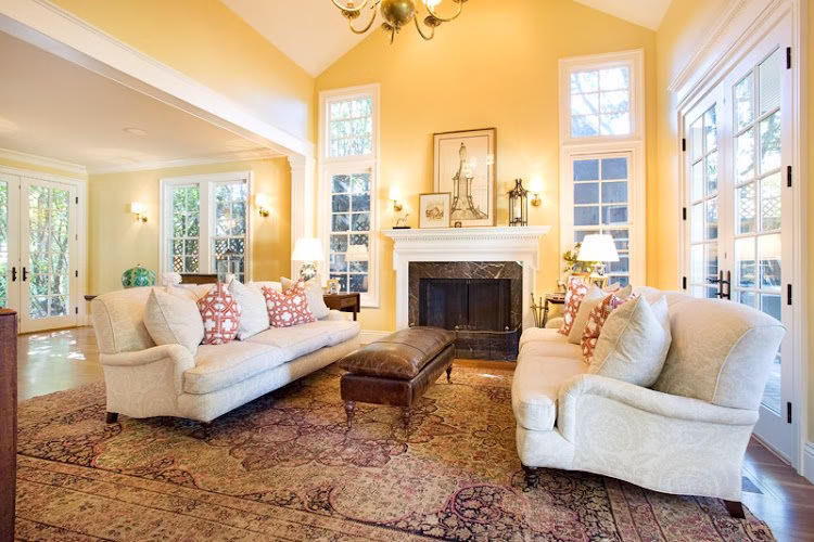 303207 sigura pro painting