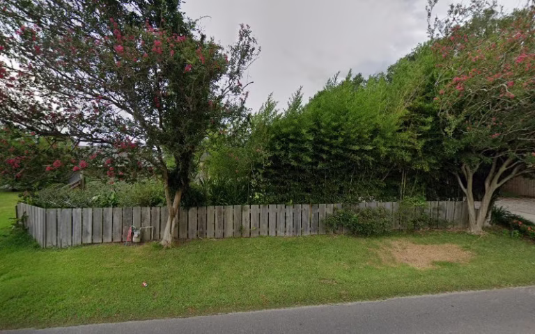 303380 lawrence talley painting 1 768x480