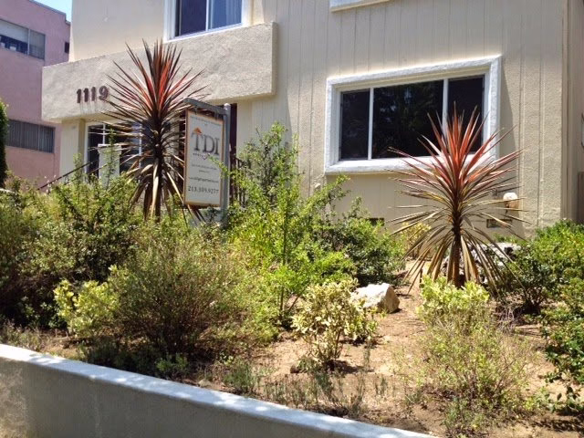 303579 tdi properties 8211 los angeles property management