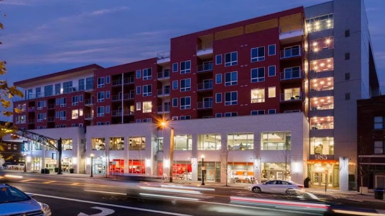 304997 borror 768x432