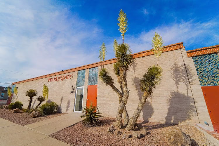 306336 pearl properties