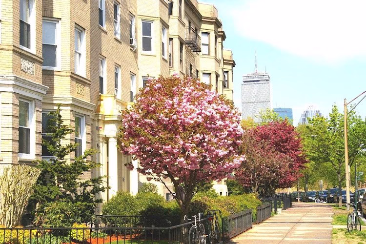 306398 boston condominium management