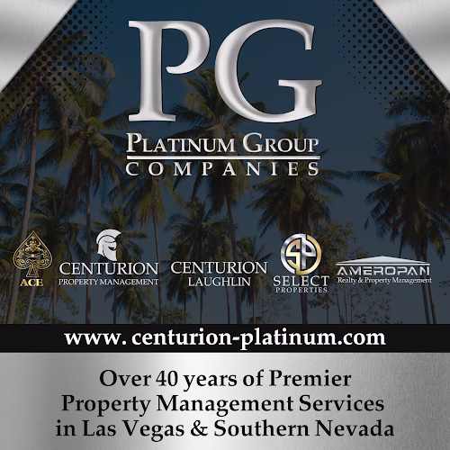 306548 ameropan realty and property management