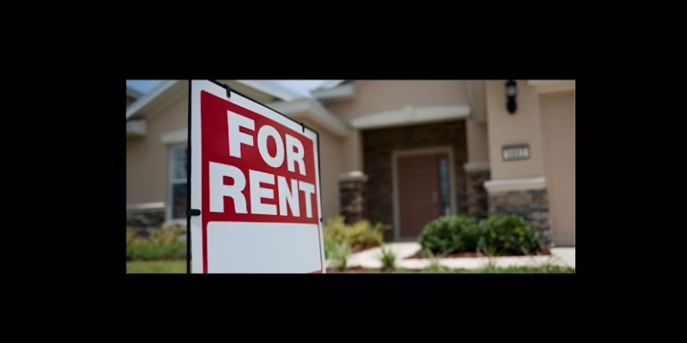 307014 daily management 768x384