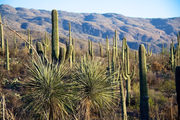 307553 north west property management realty