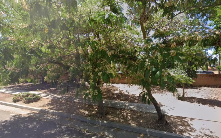 307694 p m services 768x480