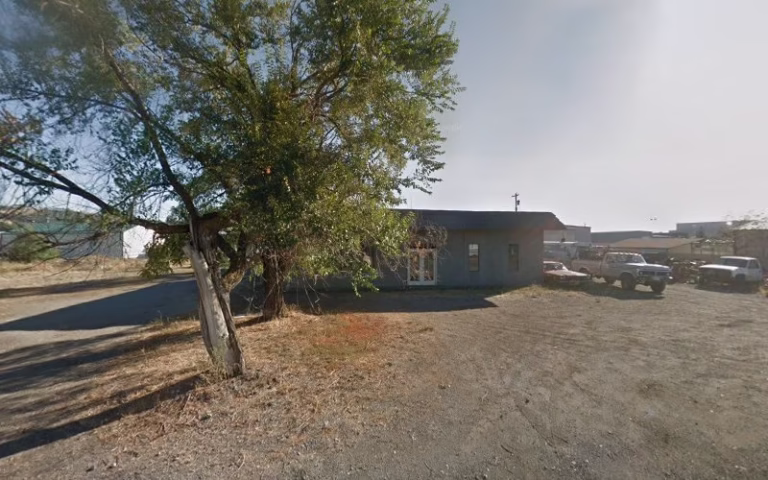 307969 mick the painter 1 768x480