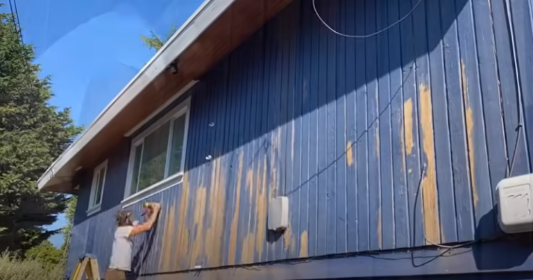 308417 optimal painting 768x404