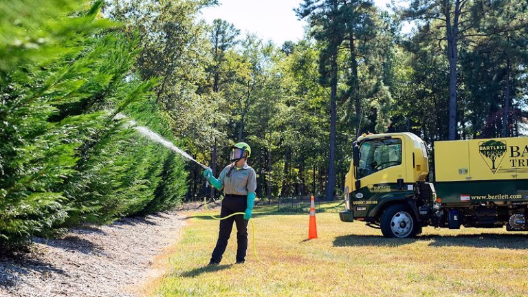 309325 bartlett tree experts 3 768x432