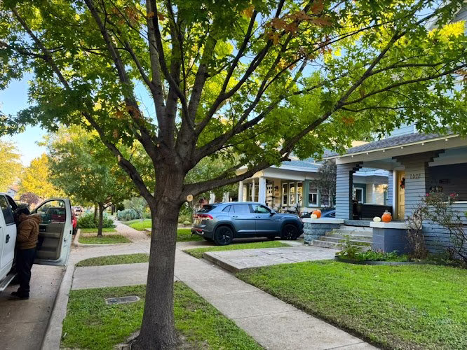 309398 montoya tree service