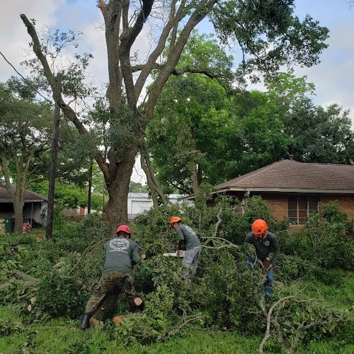 309403 rf tree service