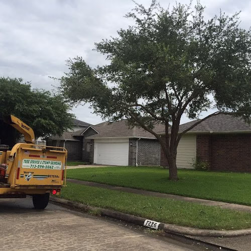 309480 tafoyas tree service stump grinding