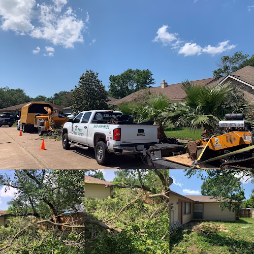 309486 on point tree service