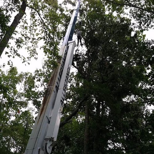 309505 green industry tree service