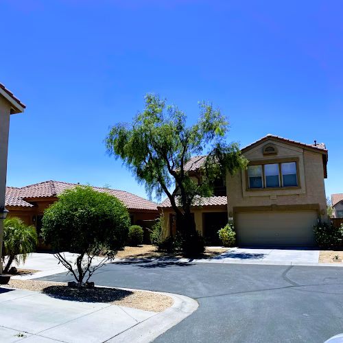 309520 tree workers of phoenix