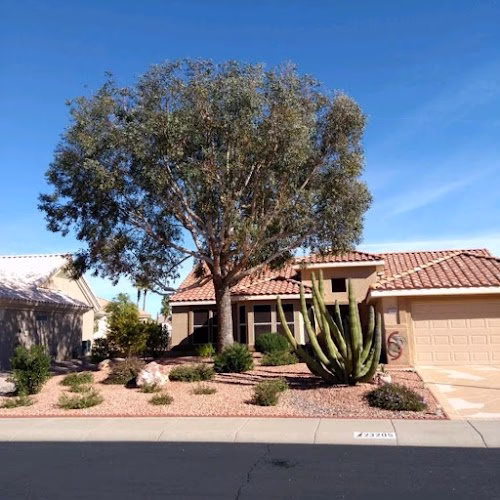 309532 treetime design llc