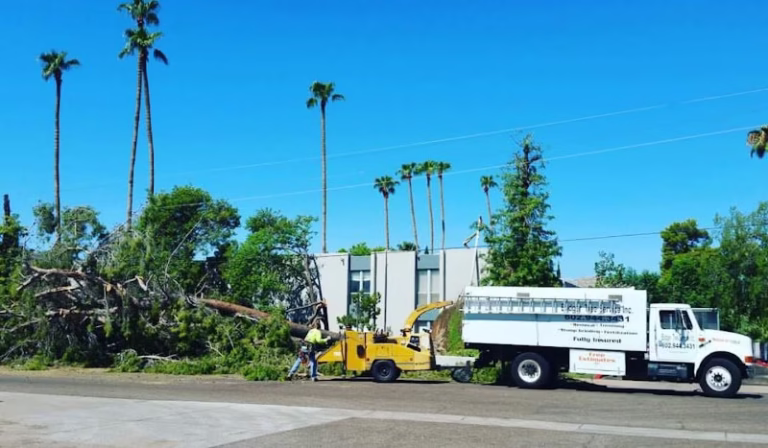 309555 badger tree service 768x448