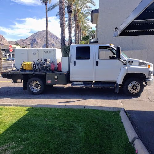 309568 arrow tree olive spraying