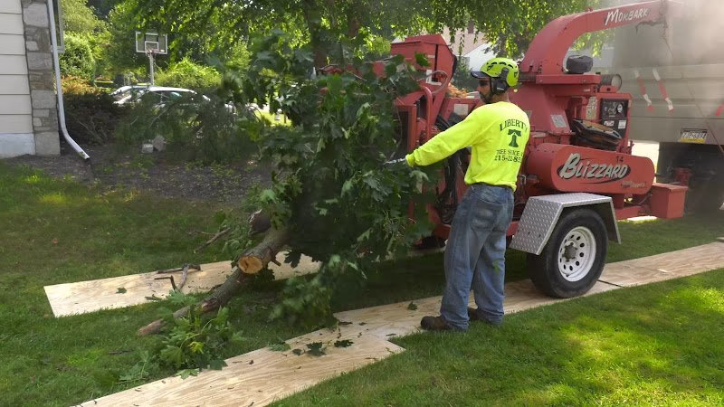309586 liberty tree service