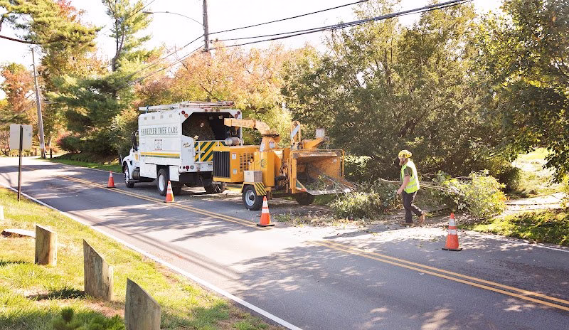 309660 shreiner tree care