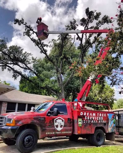 309691 dream tree services