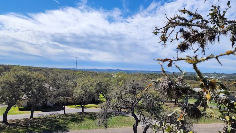 309716 precise tree care removal 768x432