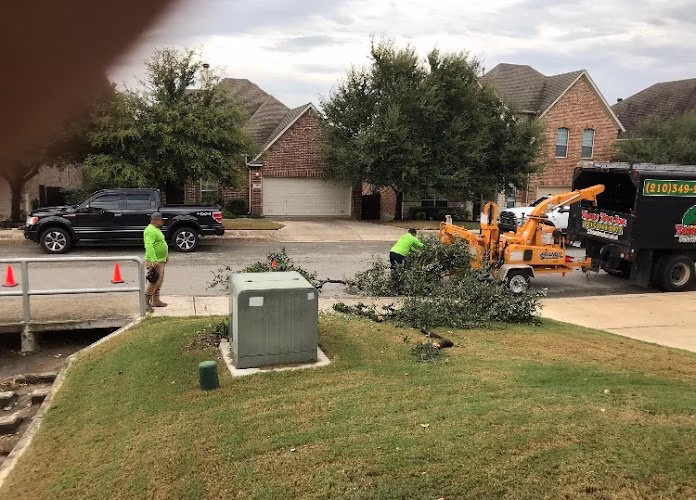 309757 yates tree inc