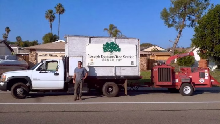 309778 joseph descans tree service 768x432