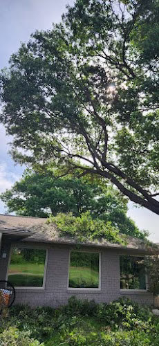 309843 dal tree service