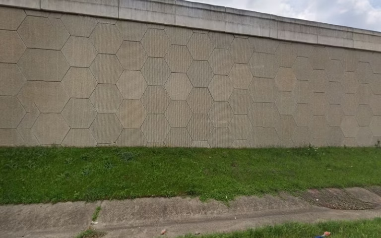 309851 austin tree surgeons 1 768x480