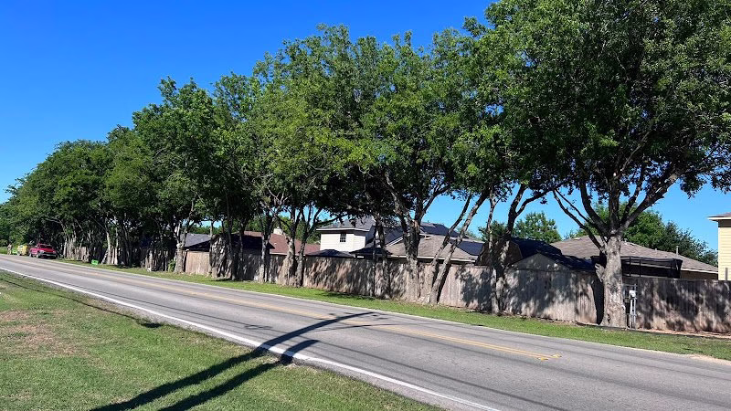 309856 edgars tree service llc