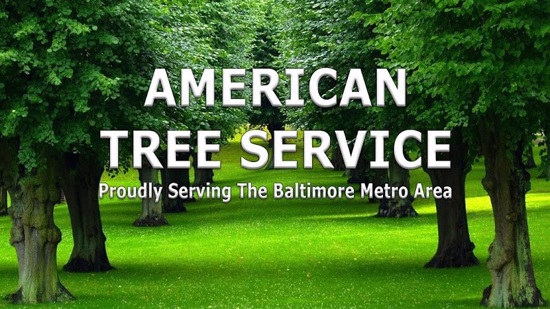 309889 american tree service