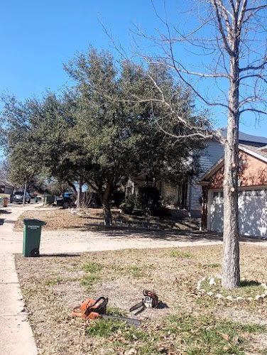 309902 tree green services