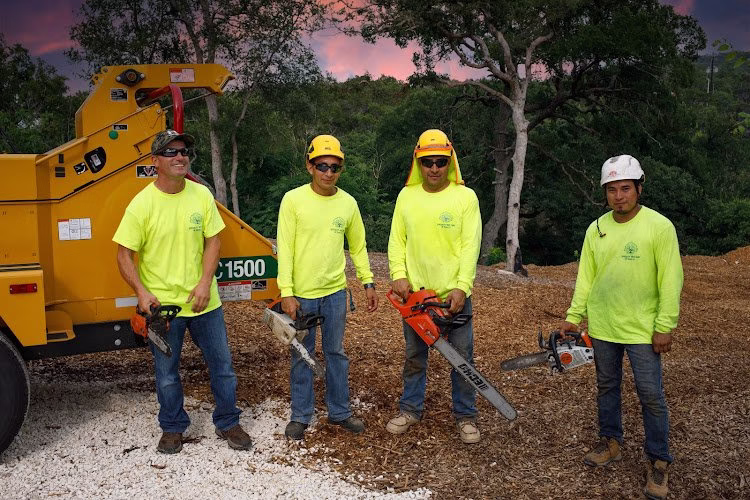 309919 specialty tree care of texas llc