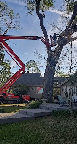 309940 bushors tree surgeons