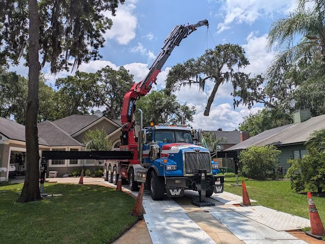 309942 jax tree removal