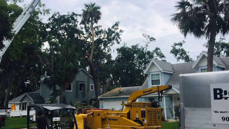 309953 big city tree service